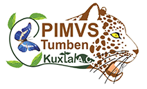PIMVS