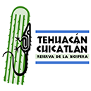 ReservaBiosferaTehuacanCuicatlan