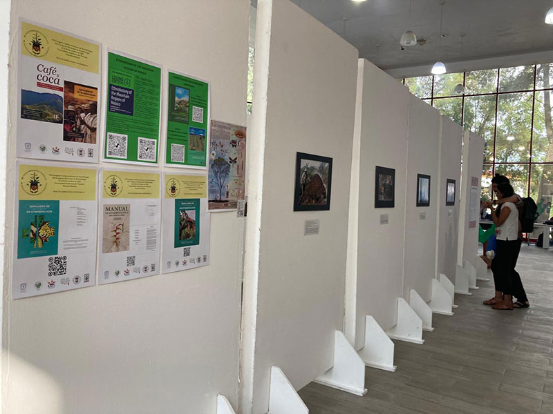 gallery grid image